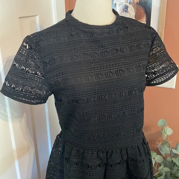 Rachel Parcell Anglaise L Black embroidered overlay fit & flare lined knee dress - Picture 4 of 16